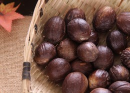 棕色的香果图片