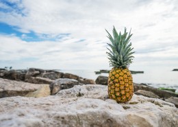 形态不一的菠萝图片