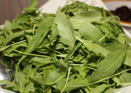 新鲜的茶叶嫩叶图片