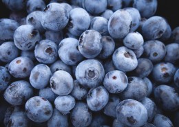 精选蓝莓图片