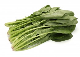 绿色鲜嫩的菠菜图片