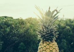 清新水果凤梨图片