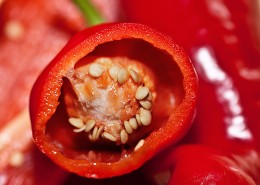 鲜红的辣椒图片