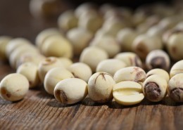 白色的莲子图片