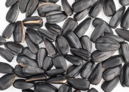 休闲零食瓜子图片