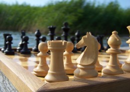 玩法多样的国际象棋图片