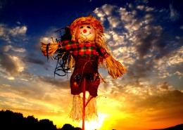 奇形怪状的稻草人图片