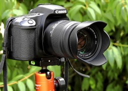 佳能单反相机图片