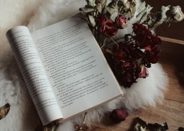 翻开的书籍的图片