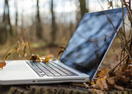 落叶上的笔记本电脑图片