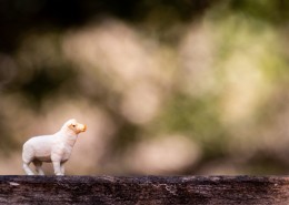 动物玩具的微距摄影图片大全