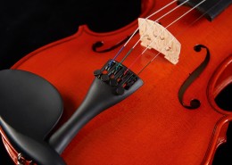 橘红色优雅的小提琴图片大全
