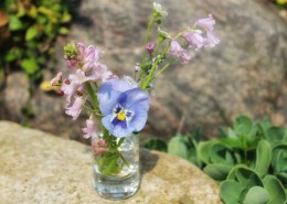 插着花的玻璃花瓶图片大全