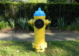 路面上的消防栓图片