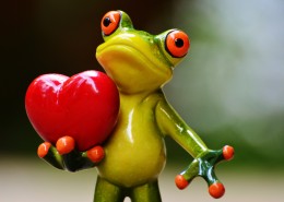 有趣的青蛙摆件图片大全