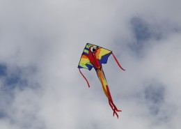 放飞的风筝图片