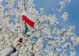 波兰国旗的图片