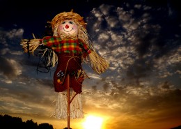 驱赶鸟类的稻草人图片