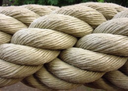 结实的绳索图片