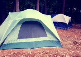 多样的帐篷图片