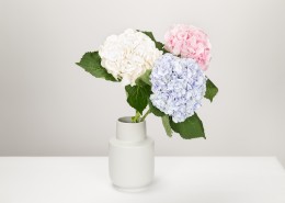 精美的花瓶图片