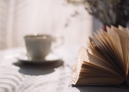 打开的书本图片大全