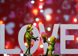 有趣的青蛙情侣摆件图片大全