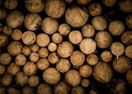 被切割好的木材图片