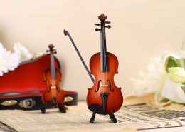 漂亮的小提琴玩具图片大全