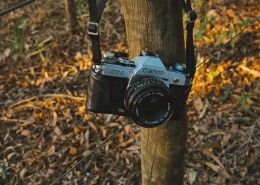 各式各样的照相机图片