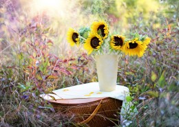 装有花束的花瓶图片