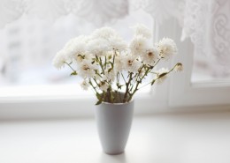 插花的花瓶图片