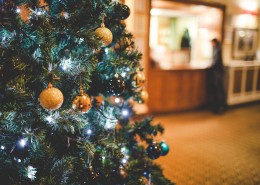 德国的圣诞树图片