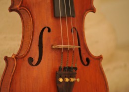 优雅的小提琴图片大全