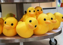 有趣的鸭子形状玩具图片