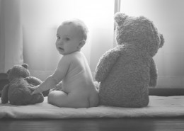 可爱的泰迪熊图片大全