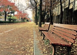 舒适安逸的长椅图片