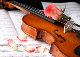 优雅的小提琴图片