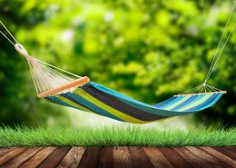 阳光下的吊床图片