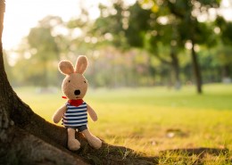 砂糖兔公仔图片