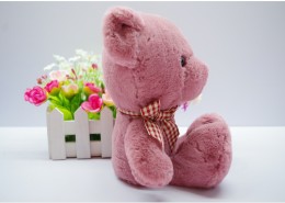 泰迪熊公仔图片