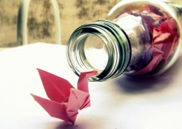 唯美的千纸鹤图片