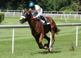 赛马比赛的图片