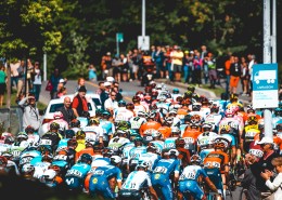 自行车公路赛图片