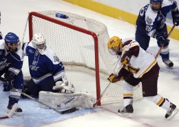 冰上曲棍球运动图片