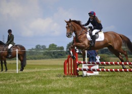 马场里正在进行的赛马比赛图片大全