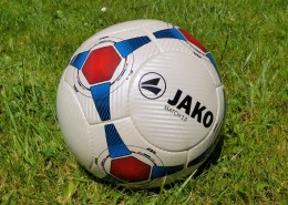 各种各样的足球图片