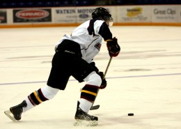 紧张激烈的班迪球比赛图片