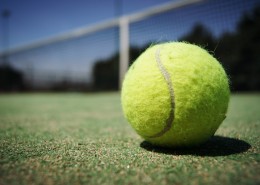 弹性极好的网球图片
