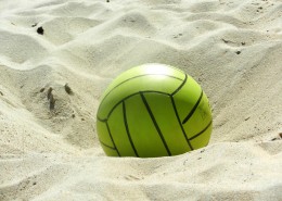 做工精美的排球图片